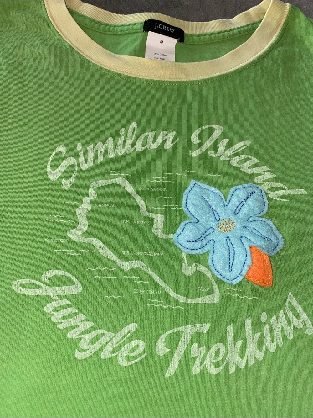 J. Crew green graphic tee with blue floral applique